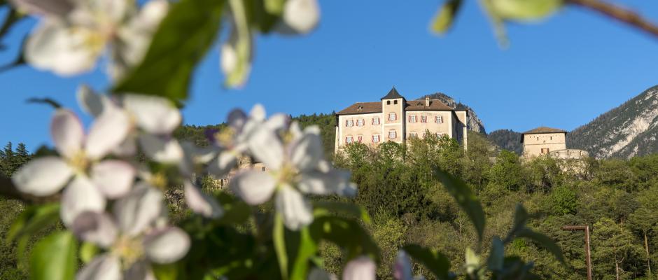 Leggi articolo Tutte le strade portano a Castel Thun! Guida agli itinerari 2023