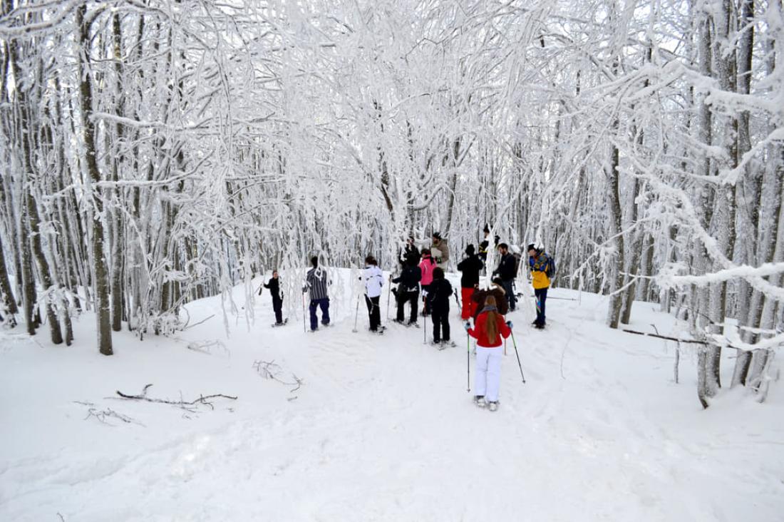 escurisone neve